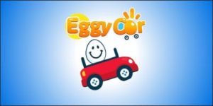 Eggy car Cover