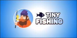 Tiny Fishing Cover
